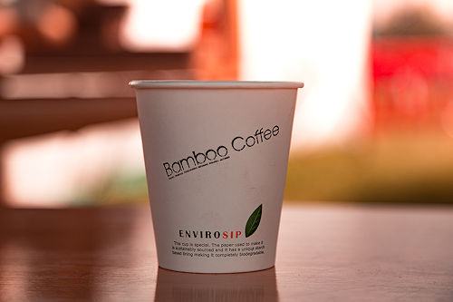 Simon Billing Photographer : Bamboo Coffee uses compostible cups, lids and spoons